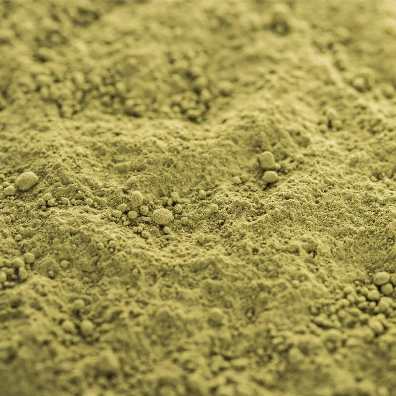 L-Theanine supplement ingredient