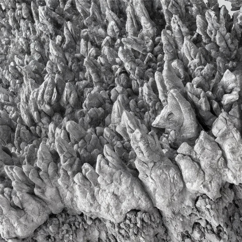 Magnesium supplement ingredient