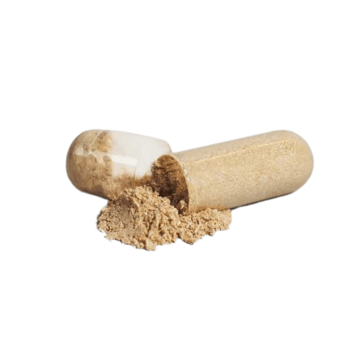 Null Settle Sleep Support