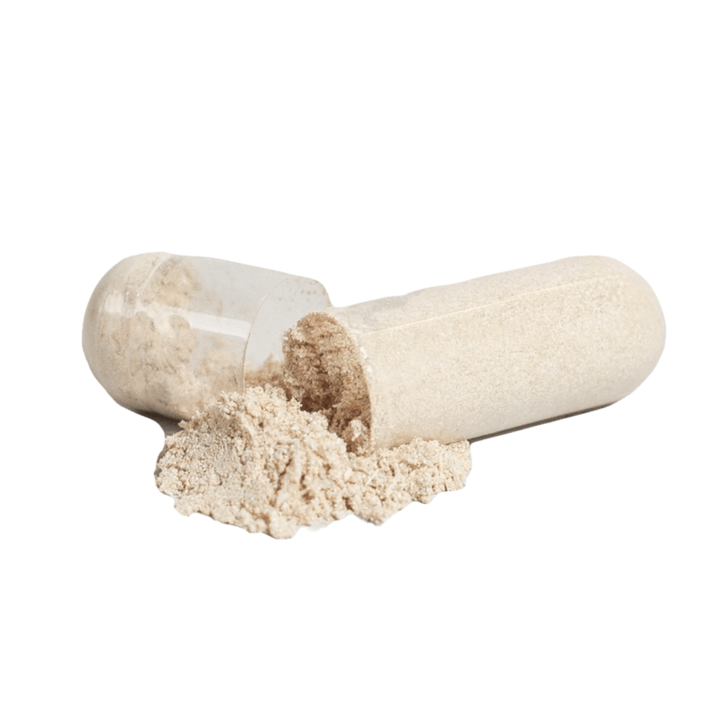 Volt Prime Brain & Focus Formula